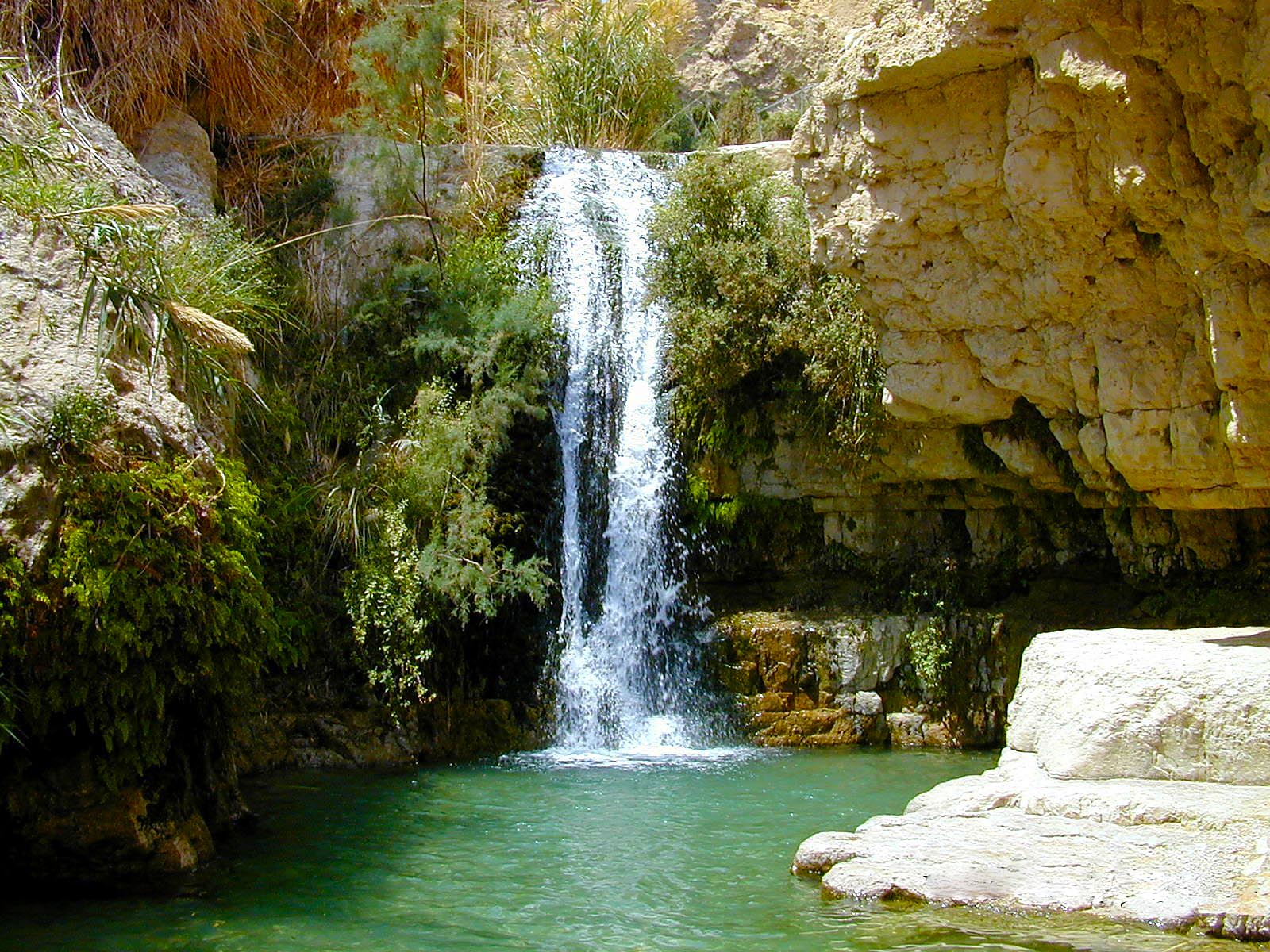 En_Gedi_Nahal_David_waterfall_tbn040900l